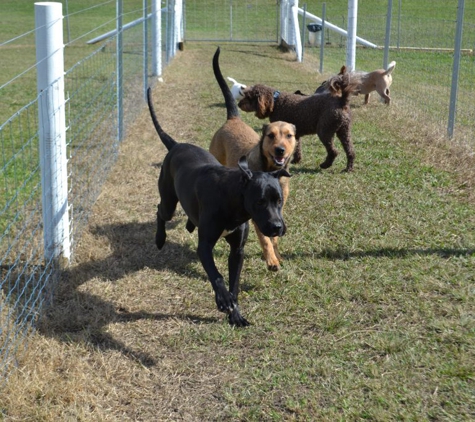 Paradise Pet Parks - Falls Creek, NSW