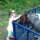 Beach Party Ponies & Petting - Party Favors, Supplies & Services