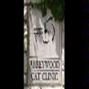 Abbeywood Cat Hospital - Veterinarians