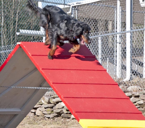 Pine Creek Kennels Pet Resort - Benton, PA