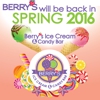 Berry's Ice Cream & Candy Bar gallery