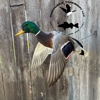 Panhandle Taxidermy LLC gallery