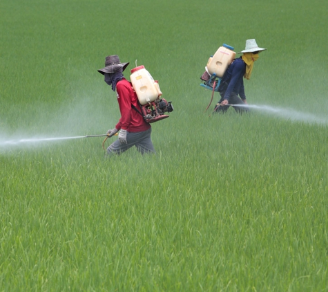Hamiltons' Pest & Weed Control - Jerusalem, SA. We offer a wide range of services from general pest management, pre-treats, termite work, weed spraying and much more!