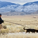 K9 Pipe Inspections, LLC - Leak Detecting Service