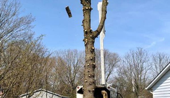 Aaron's Perfect Cut Tree Service - Knox, IN