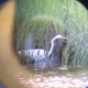 Connecticut Audubon Coastal Center