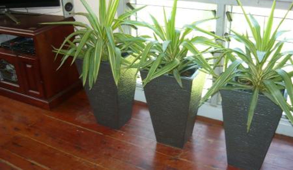 Quality Indoor Plants Hire - Girraween, NT