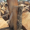 Firewood Free Delivery gallery