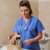 Black Hills Animal Hospital gallery