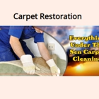 Everything  Under The Son Carpet Cleaning