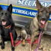 Metroguard Security & Risk Management gallery