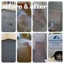 Immaculate Shine Cleaning Services LLC - Carpet & Rug Cleaners