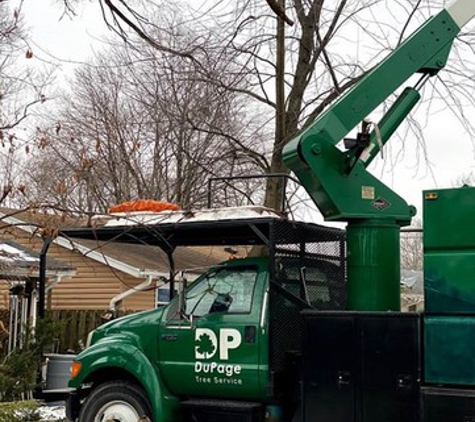 Dupage Tree Services - Elmhurst, IL