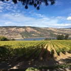 Garnier Vineyards at Mayerdale