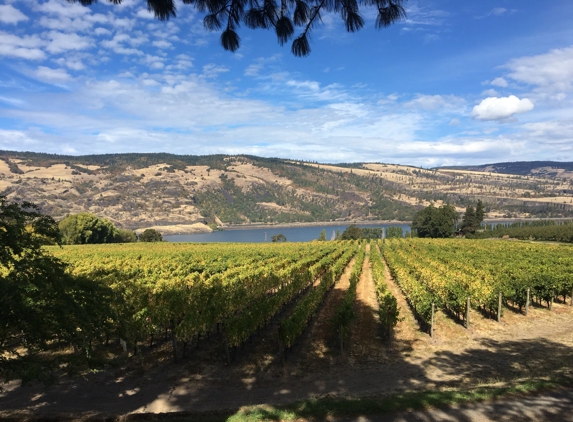 Garnier Vineyards at Mayerdale - Mosier, OR