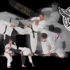 Panther City Hapkido gallery