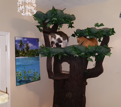 Pawz with Us - Conroe, TX. Our cats Love the climbing trees.