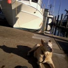 Oak Harbor Marina