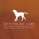 Kentucky Labs - Pet Breeders