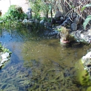 Oasis Botanical Sanctuary - Social Service Organizations