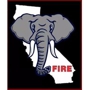 Elephant Fire Extinguisher Service