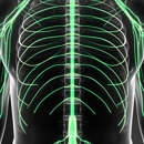 New York Orthopaedic Spinal Associates - Physicians & Surgeons, Orthopedics