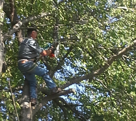 Slawson's Tree Service - Arcadia, OK