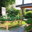 Toluca - Cosmetic Dentistry