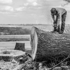 HIgher Ground, llc Tree Trimming and Removal