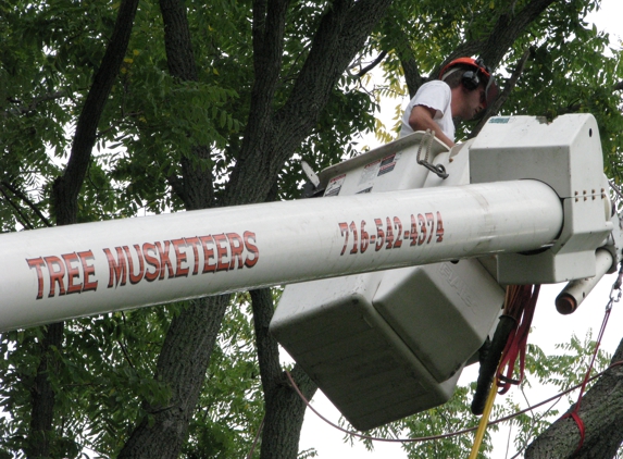 Tree Musketeers LLC - Akron, NY