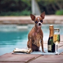 Kathy Blanquie Sidjakov - Pet Training