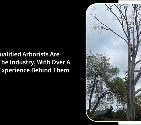 Harringtons Tree Services - Mount Evelyn, VIC. Our Fully Qualified Arborists Are Experts In The Industry, With Over A Decade Of Experience Behind Them