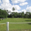 La Petite Cheval Farm - Horse Training