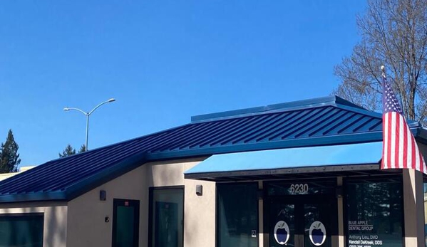 QUEVEDO ROOFING - Novato, CA