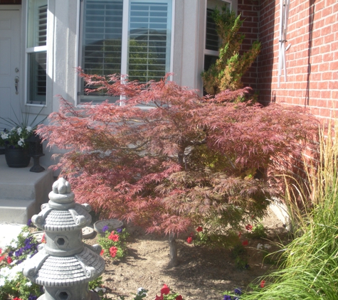 Twin Peaks Tree Care - West Jordan, UT