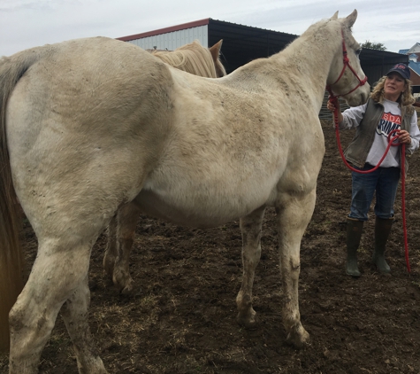 Triple M Stable - Council Bluffs, IA