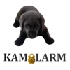 Kamolarm LLC gallery