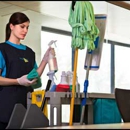 The Cleaning Genie - House Cleaning