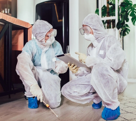 Black & White Pest Control - Greenbank, QLD