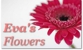 Eva's Flowers - Florists