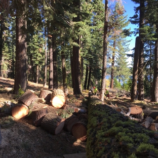 A & E Arborists Tree Care - Yuba City, CA