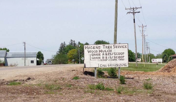 Hagens Tree Service - Pella, IA