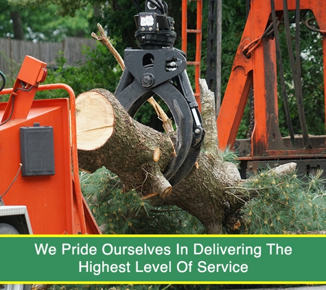Heritage City Stumping Service - South Ripley, QLD. We Pride Ourselves In Delivering The Highest Level Of Service