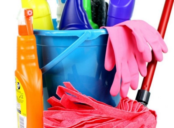 House Cleaning Services of Ann Arbor - Ann Arbor, MI