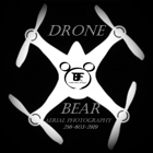 DRONE Bear Photography