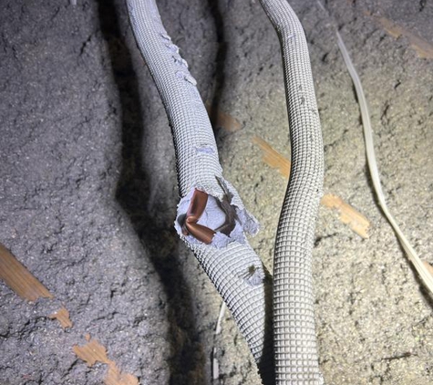 Alpha Electrical Contractors Ec8508 - Fremantle, WA. Damaged pipe!