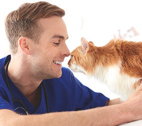 Animal Hospital Of Maple Valley - Maple Valley, WA