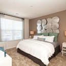 Clairmont at Brier Creek Apartments - Apartments