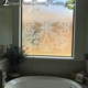 Etched Glass Doors FL