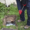 Pipeworx Plumbing gallery